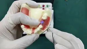 Tapa de cicatrización BLE